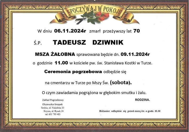 Tadeusz Dziwnik