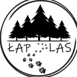 Łap las