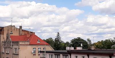 Nieruchomości Pałuki Żnin - ogłoszenia drobne Pałuki Żnin | palukiznin.pl