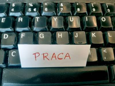 Praca Pałuki Żnin - ogłoszenia drobne Pałuki Żnin | palukiznin.pl