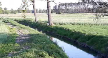 Rowy w Ośnie zostaną oczyszczone. Spółka wodna dostała pieniądze.