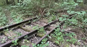 Refleksje po informacji o nowym, szybkim pociagu Bydgoszcz - Żnin - Gniezno 
