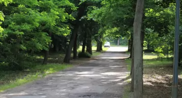 Szubińscy chuligani postawili na nogi radnych oraz policję. Aresztowano meżczyznę spacerujacego z atrapą noża w ręku.